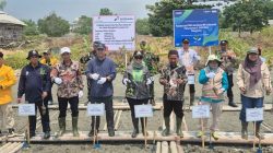 Tekan Risiko Abrasi Dan Banjir Rob, PHE OSES Dan Pemkab Lamtim Kembangkan Demplot Mangrove Di Labuhan Maringgai