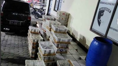 Bawa 832 Ekor Burung Tanpa Dokumen, Dua Pria Diamankan Di Bakauheni