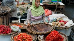 Disdag Bandar Lampung Berupaya Stabilkan Harga Cabai