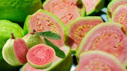Daun Jambu Biji, Si Kecil Bertabur Manfaat untuk Kesehatan