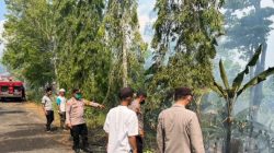 Kebakaran Di Batu Tegi Hanguskan 1,5 Hektare Lahan