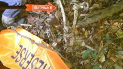 Pesawaran Digegerkan DengNPenemuan Kerangka Manusia Di Tahura Wan Abdul Rachman